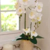 Inspire Me! Home Decor White Potted Faux Orchid In Gold And White Vase