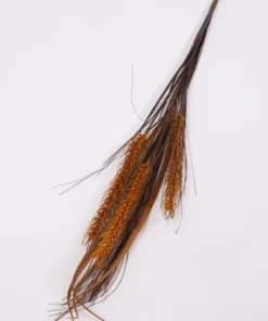 Inspire Me! Home Decor Brown Wheat And Grass Stem