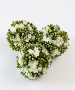 Inspire Me! Home Decor Floral Kalanchoe Orb (3 Colors)