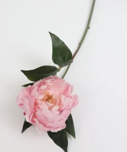 Inspire Me! Home Decor 19" Blooming Pink Peony Stem