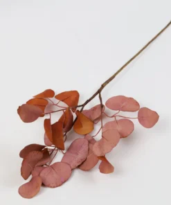 Inspire Me! Home Decor Floral Stems Beige Pink Flat Eucalyptus Stem