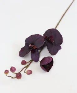Inspire Me! Home Decor Deep Purple Phalaenopsis Orchid Stem