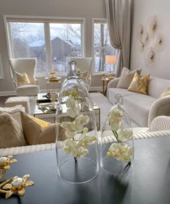 Inspire Me! Home Decor Glass Cloche (2 Sizes)