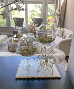 Inspire Me! Home Decor Glass Stem Jar (2 Sizes)